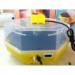 Clocitoare Incubator electric CLEO 5 D cu dispozitiv de intoarcere